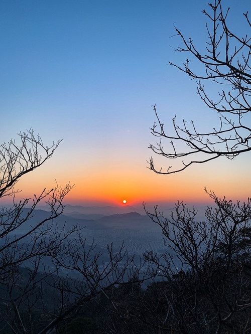 메인사진