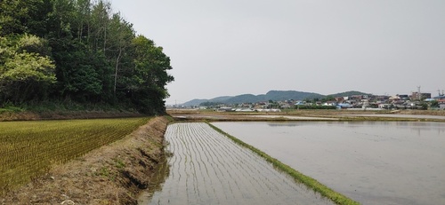 메인사진