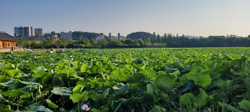 메인사진