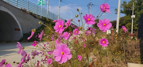 메인사진