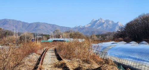 메인사진